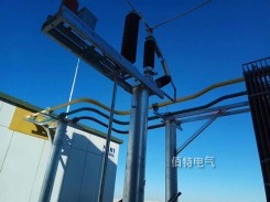 35kV3150A半绝缘铜管型母线